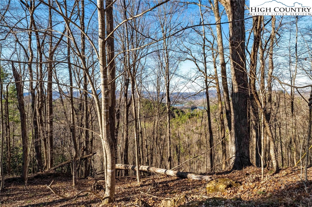 Lonesome Pine Trail Butler, TN 37640 - Photo 30 of 41 a view of a backyard