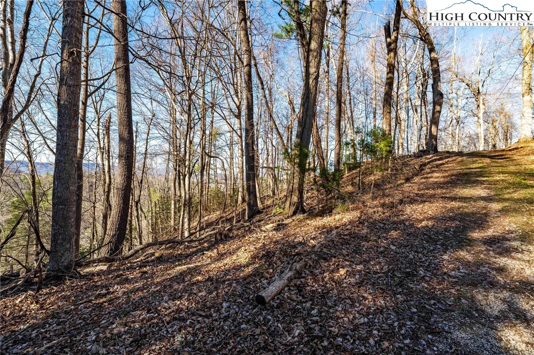 Lonesome Pine Trail Butler, TN 37640 - Photo 31 of 41 a view of a backyard of the house