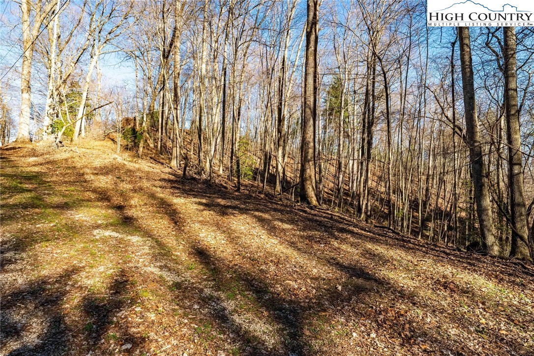 Lonesome Pine Trail Butler, TN 37640 - Photo 32 of 41 a view of a yard with trees