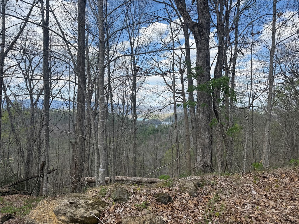 Lonesome Pine Trail Butler, TN 37640 - Photo 34 of 41 a view of house with trees in the background