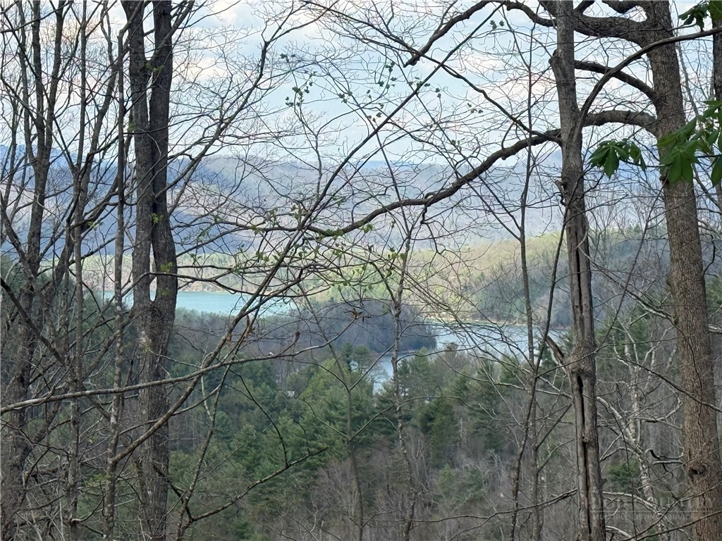 Lonesome Pine Trail Butler, TN 37640 - Photo 35 of 41 a backyard of a house with lots of trees
