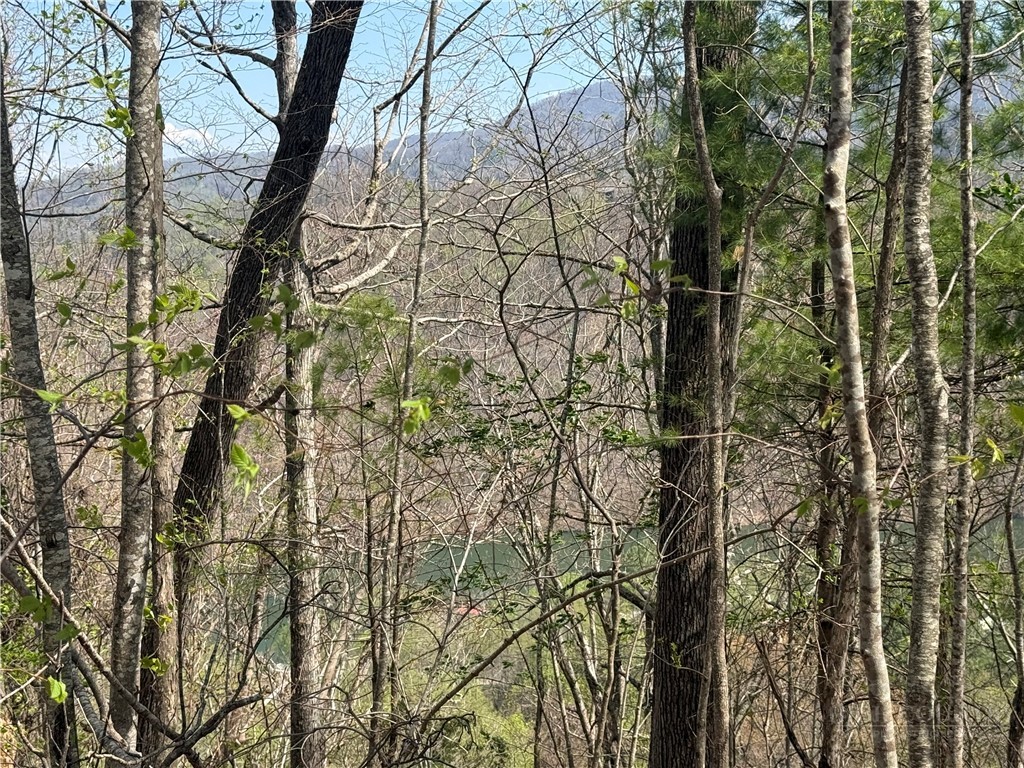 Lonesome Pine Trail Butler, TN 37640 - Photo 36 of 41 a view of a yard with plants and trees