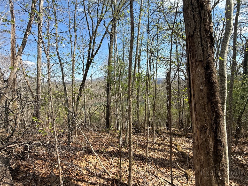 Lonesome Pine Trail Butler, TN 37640 - Photo 37 of 41 a view of a forest