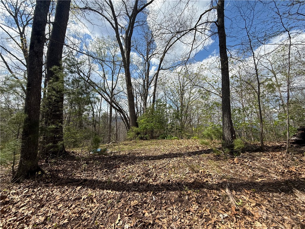Lonesome Pine Trail Butler, TN 37640 - Photo 38 of 41 a view of a yard with trees