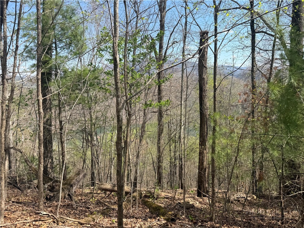 Lonesome Pine Trail Butler, TN 37640 - Photo 39 of 41