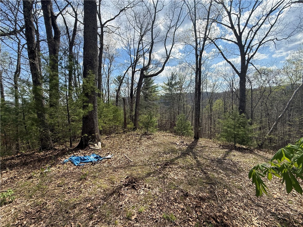 Lonesome Pine Trail Butler, TN 37640 - Photo 40 of 41 a backyard of a house with lots of green space