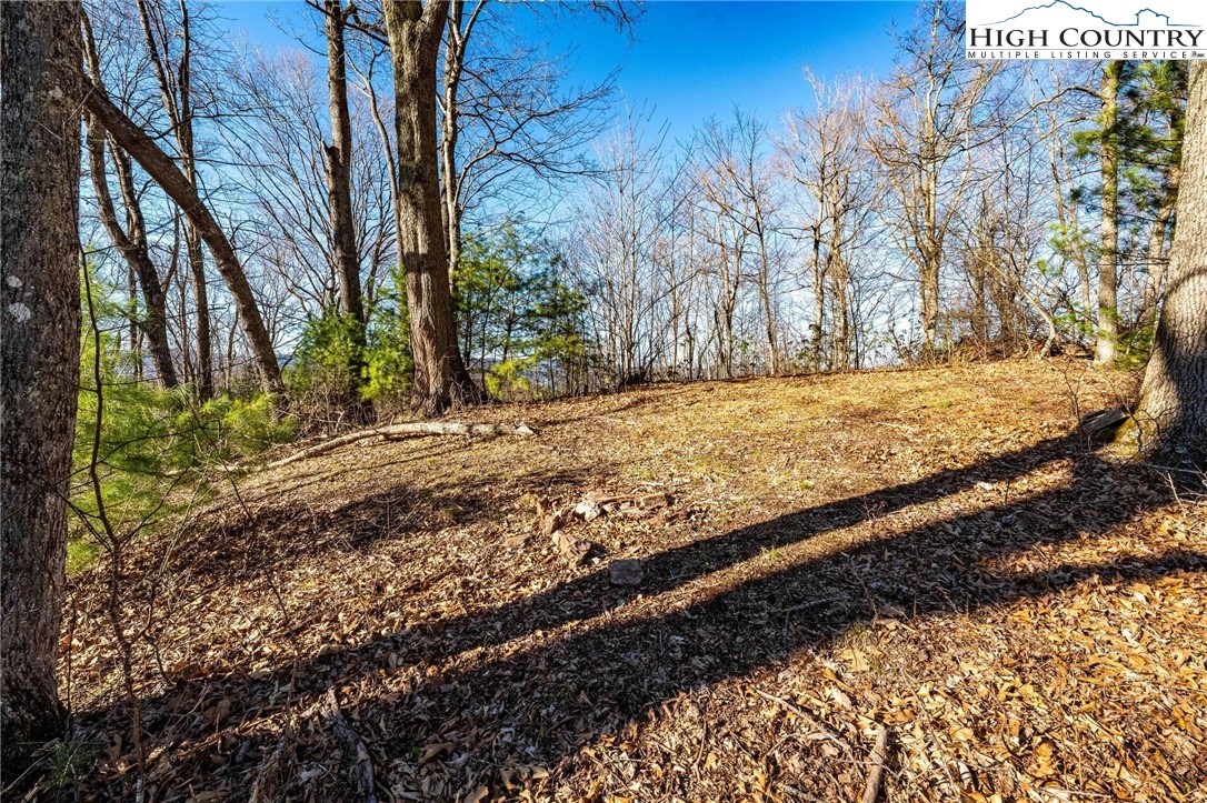 Lonesome Pine Trail Butler, TN 37640 - Photo 5 of 41 a view of a yard with wooden fence