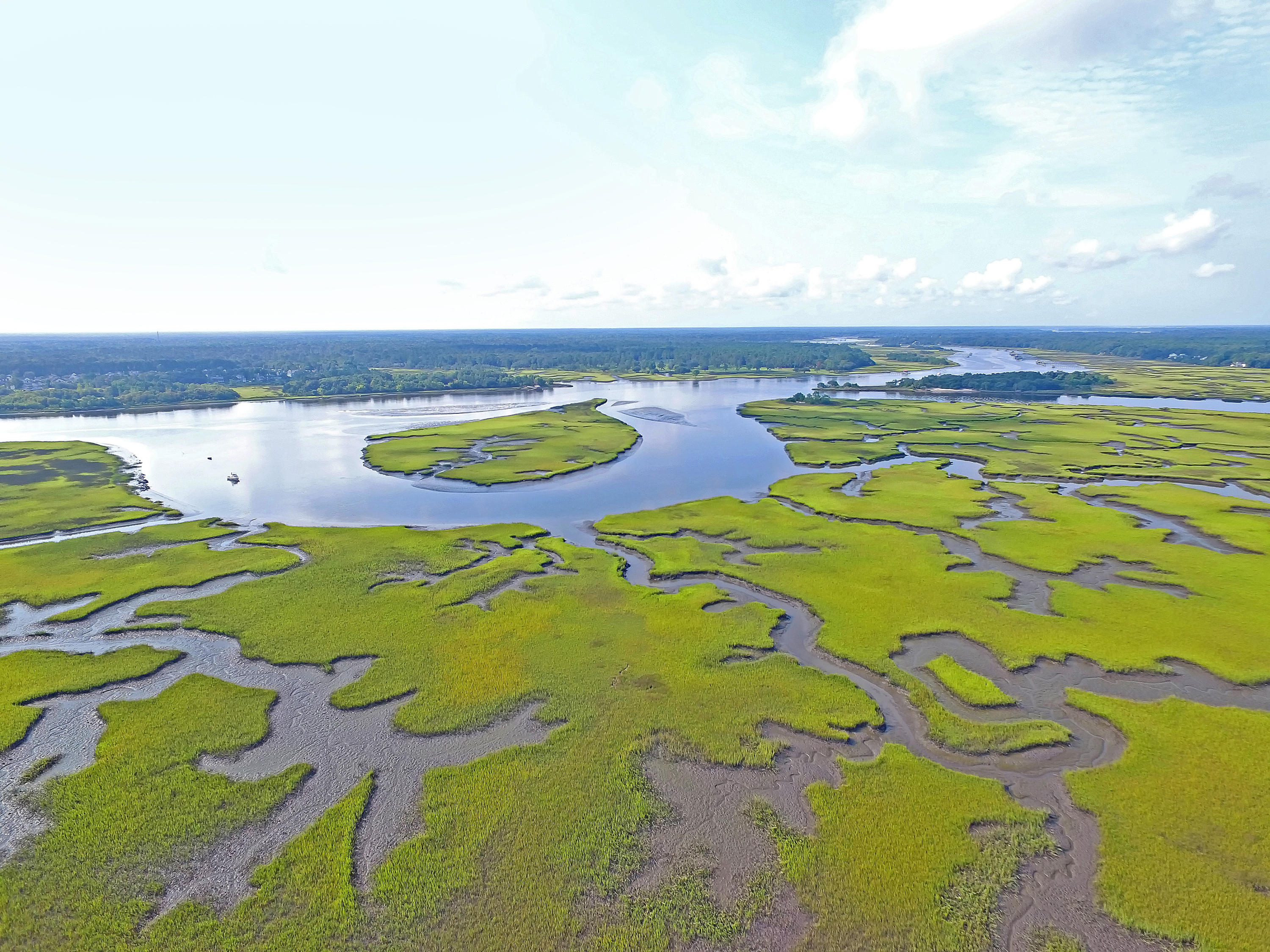 3805 Marshfield Road Johns Island, SC 29455 - Photo 47 of 48 DJI_0054 copy