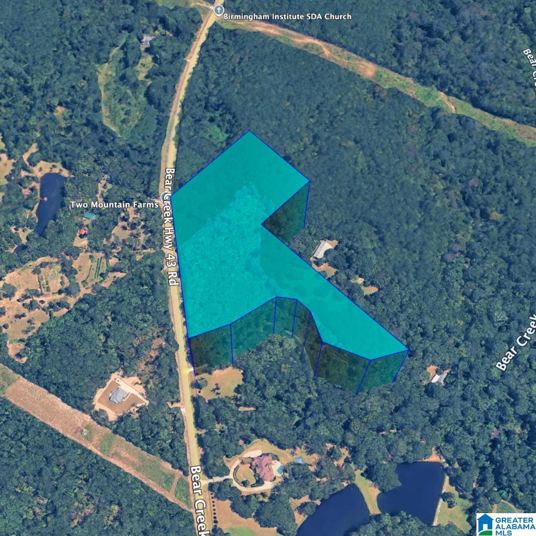 0 Bear Creek Road Sterrett, AL 35147 - Photo 8 of 12