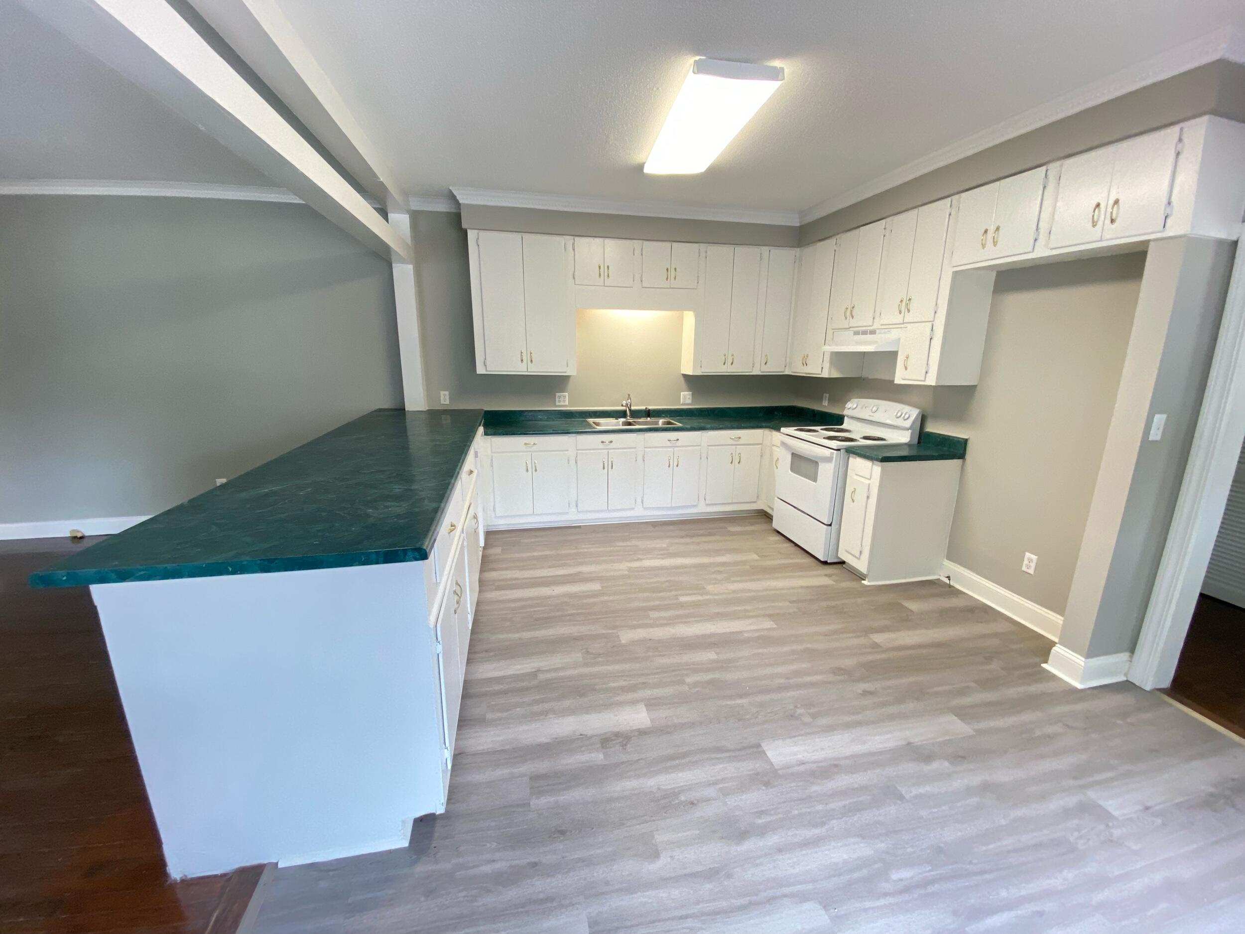 414 Hendrix Street Lexington, SC 29072 - Photo 5 of 16 Kitchen