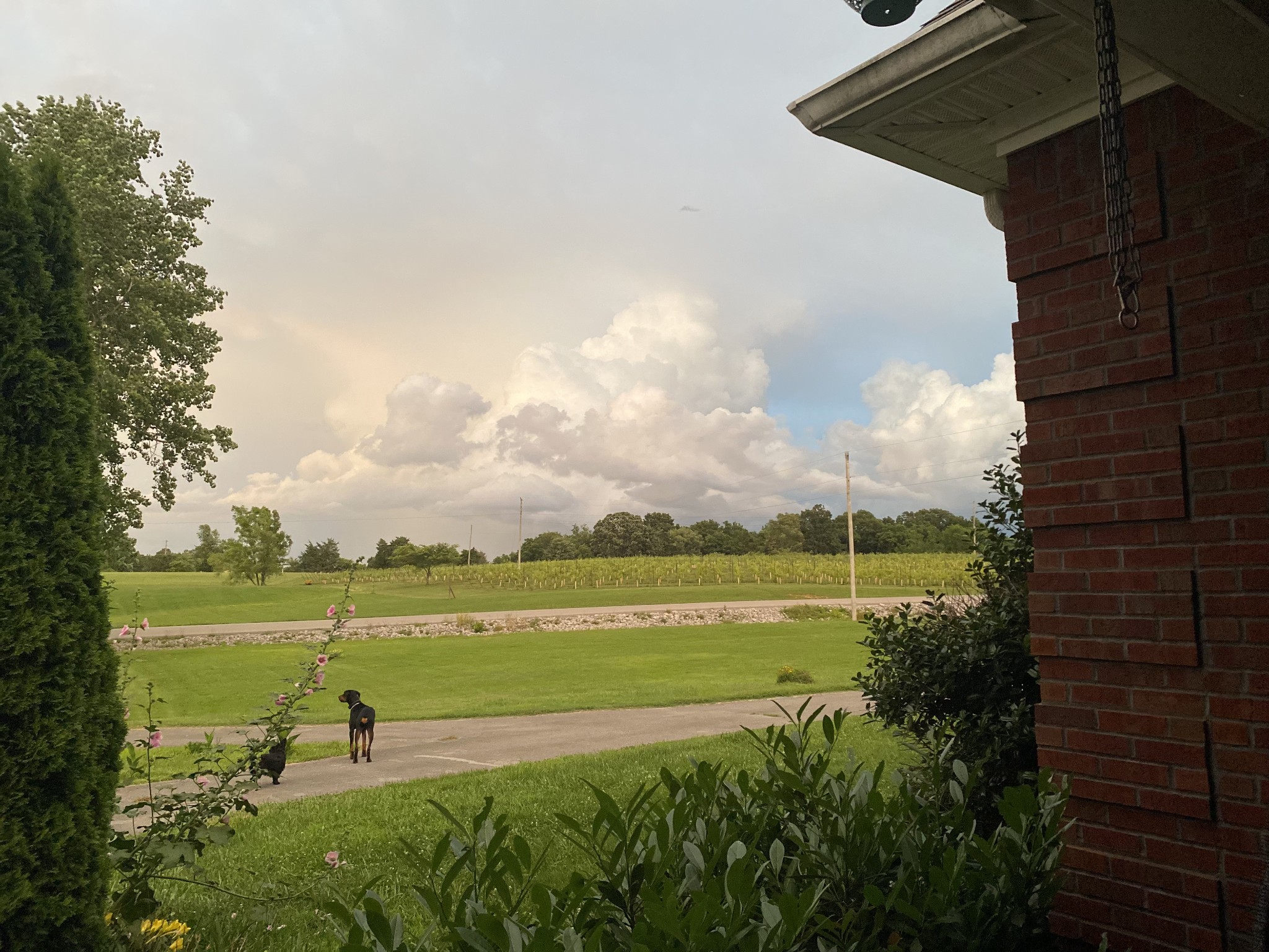 6091 Harmony Grove Road Hopkinsville, KY 42240 - Photo 3 of 7