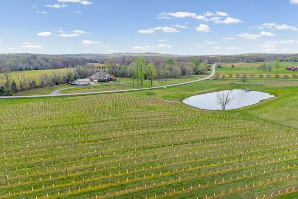 $644,950 | 6091 Harmony Grove Road, Hopkinsville, KY 42240
