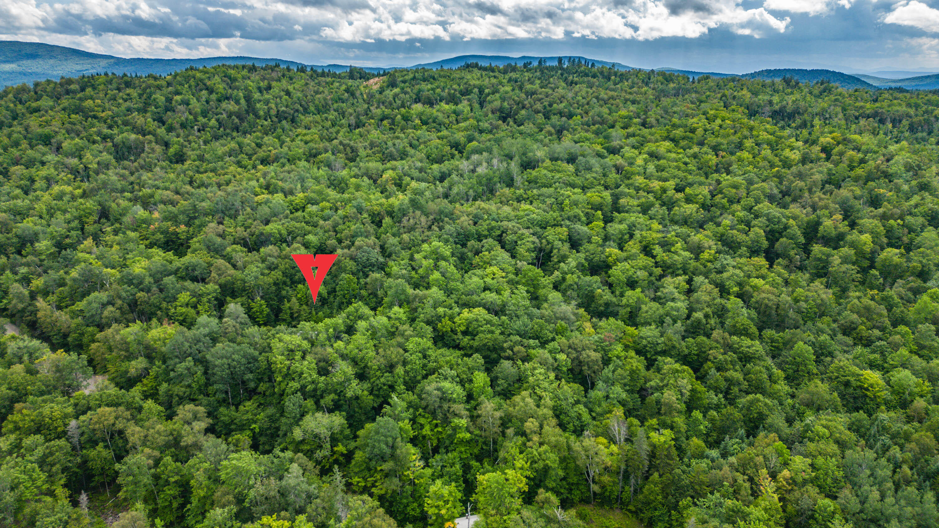 99 Back Street Upton, ME 04261 - Photo 36 of 44 20230811gp-65039a