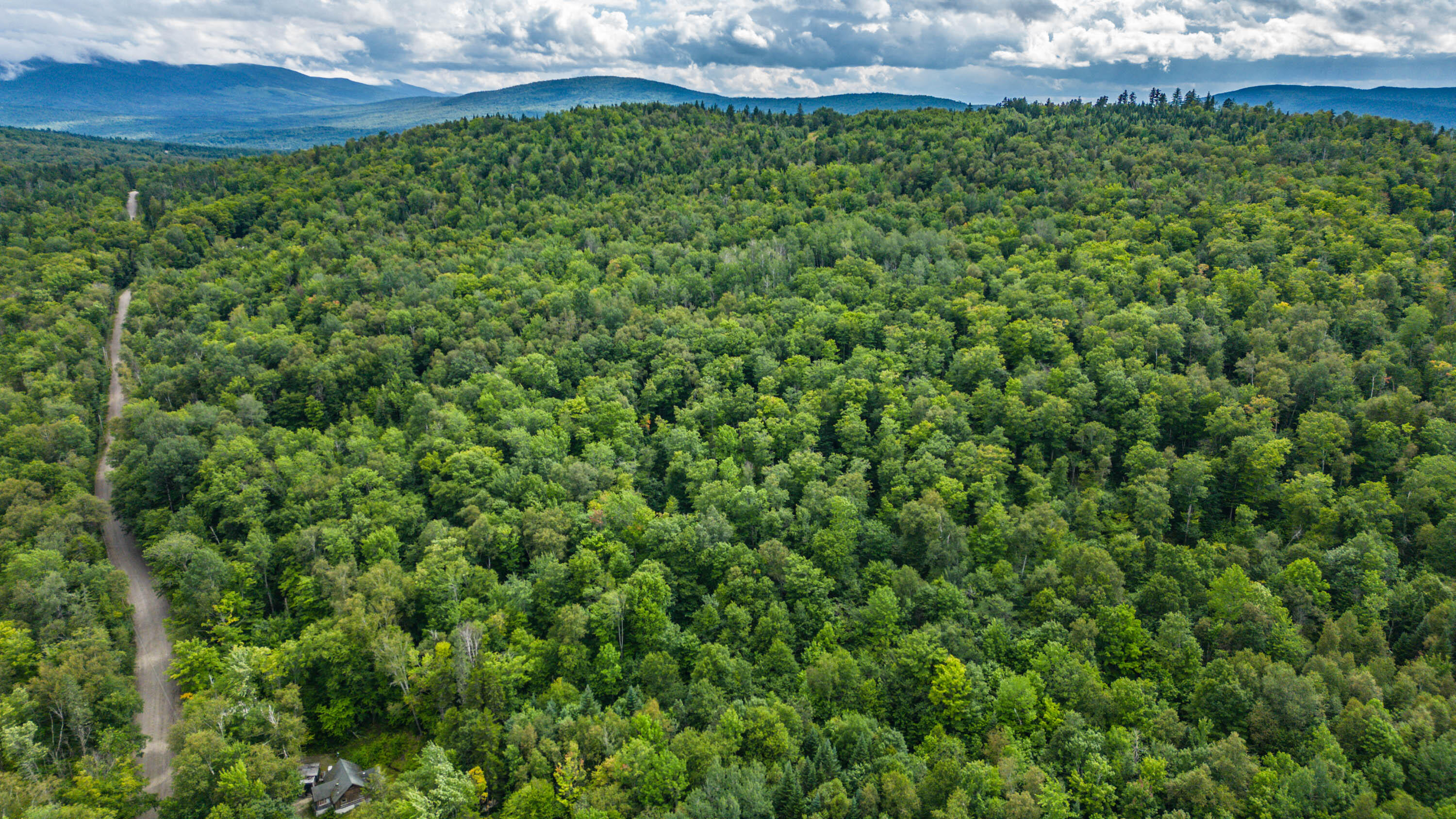 99 Back Street Upton, ME 04261 - Photo 37 of 44 20230811gp-65041