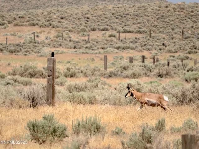 $420,000 | 10-0149-02 Kluncy Canyon Road, Winnemucca, NV 89445