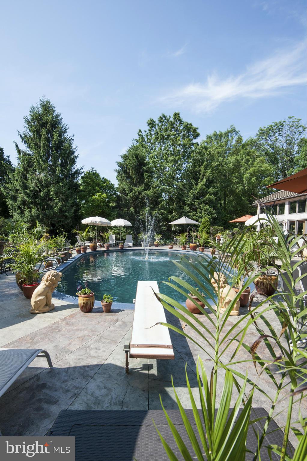 1901 Pot Spring Road Lutherville-Timonium, MD 21093 - Photo 24 of 30 Pool - Diving Board