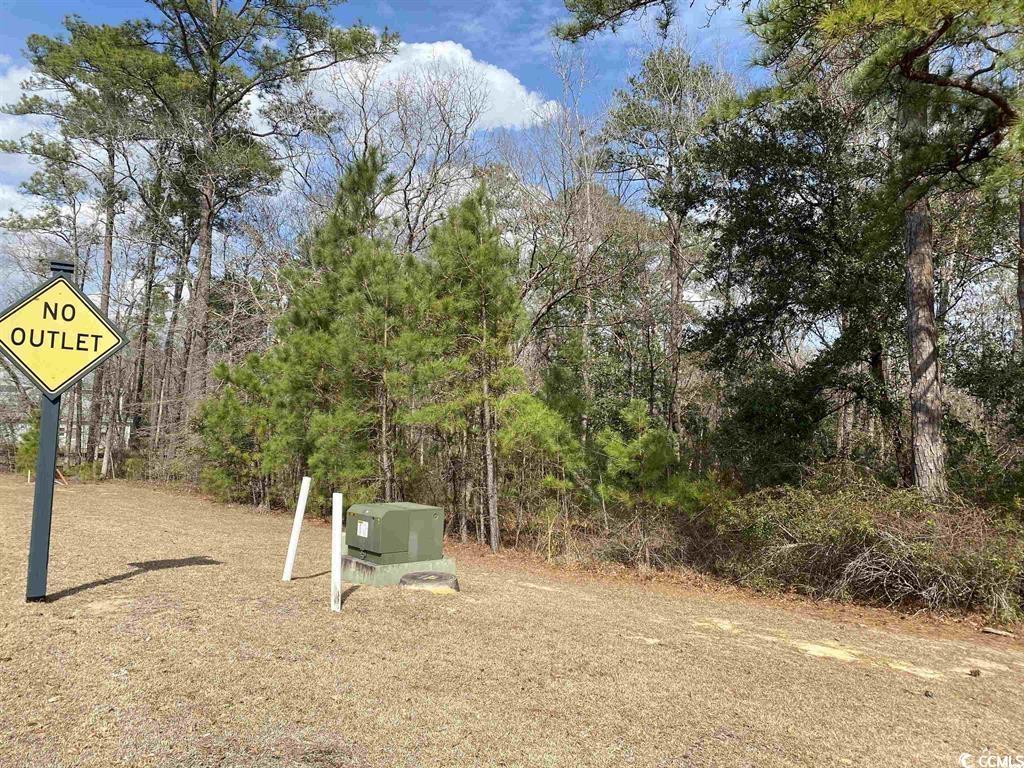 634 McCown Drive Conway, SC 29526 - Photo 2 of 7 View of yard