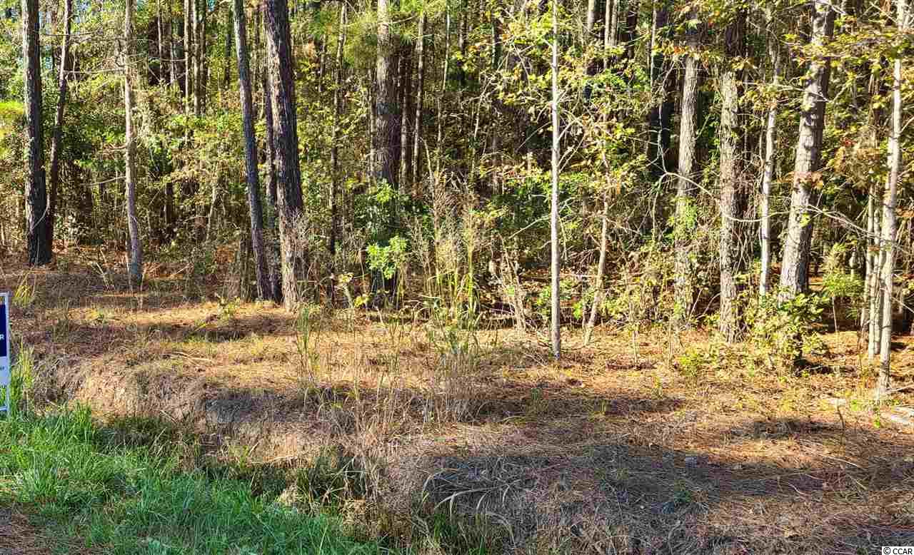 Landing Road Conway, SC 29527 - Photo 3 of 4 Gallery Image 3