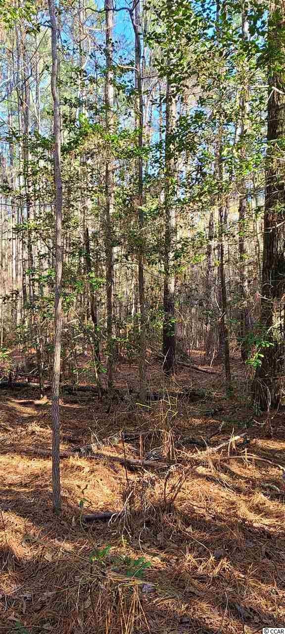 Landing Road Conway, SC 29527 - Photo 4 of 4 Gallery Image 4