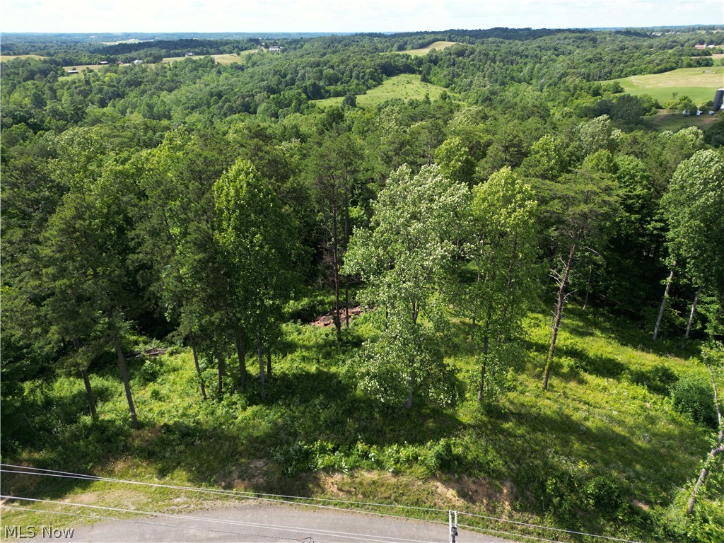 0 Fisher Ridge Road Fleming, OH 45729 - Photo 5 of 9 Gallery Image 5