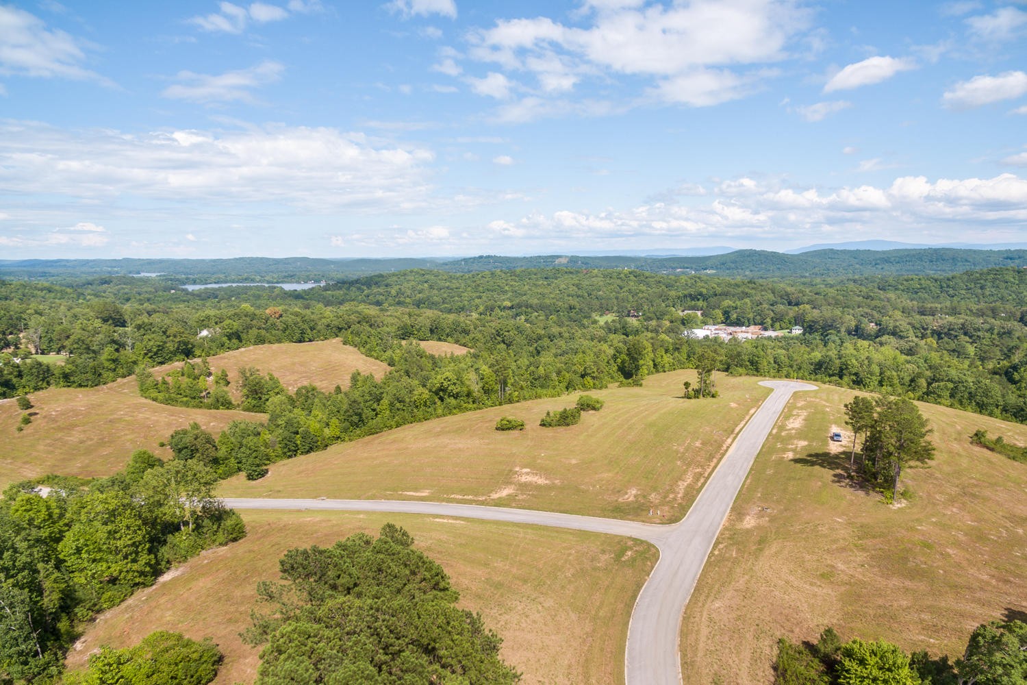 3 The Reserve Georgetown, TN 37336 - Photo 6 of 11