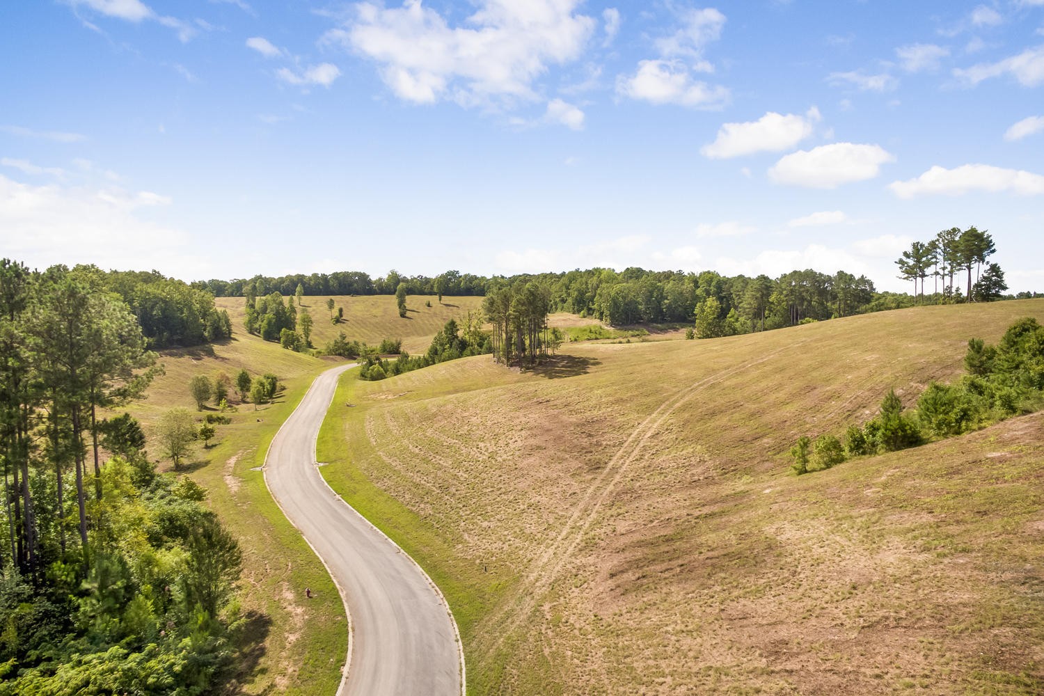 3 The Reserve Georgetown, TN 37336 - Photo 7 of 11