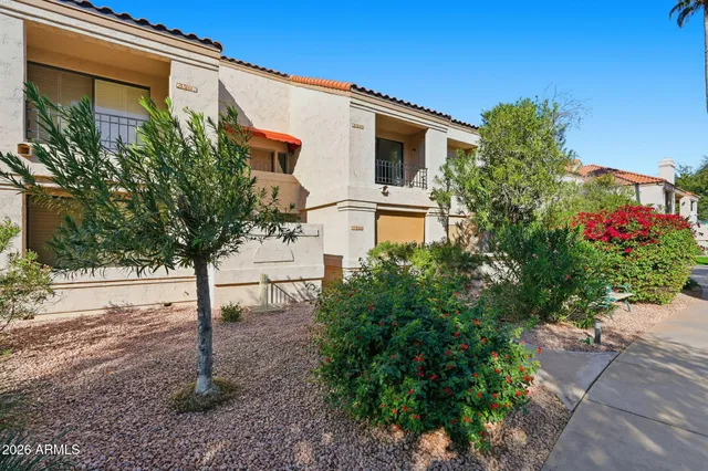a white house with a yard and a large tree