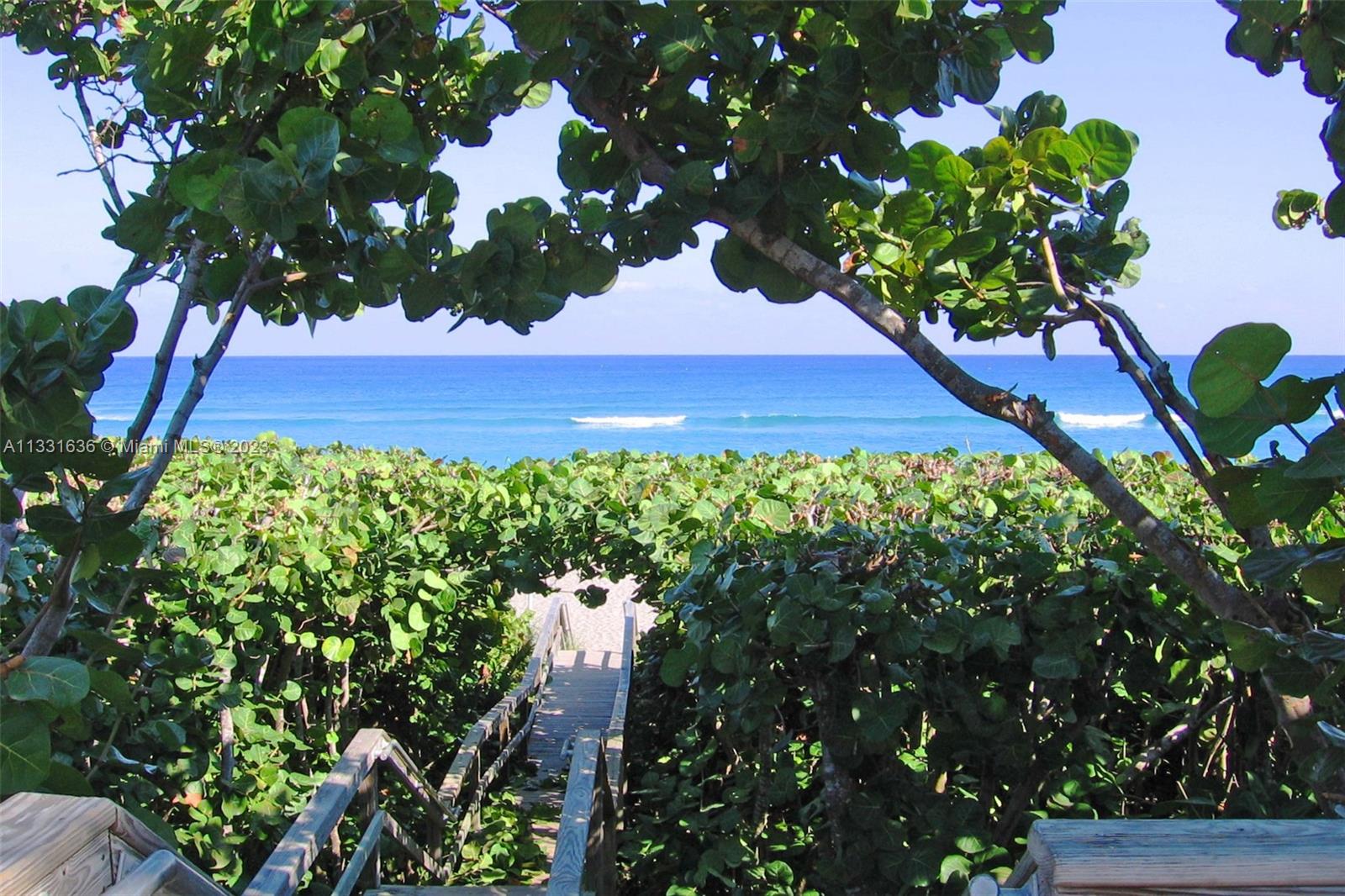 361 Zenith Lane Juno Beach, FL 33408 - Photo 32 of 36 a picture of plants