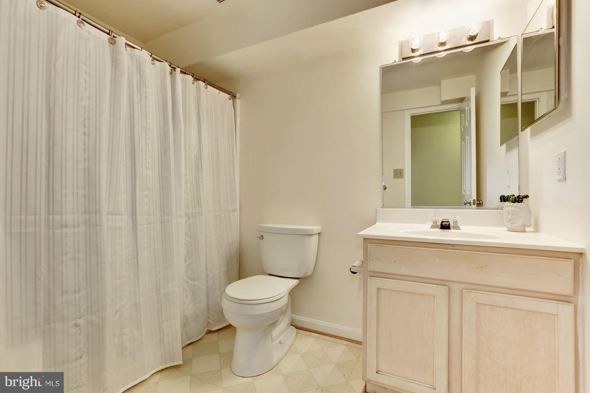 1207 Dale Drive Silver Spring, MD 20910 - Photo 18 of 22 Lower Level Bath