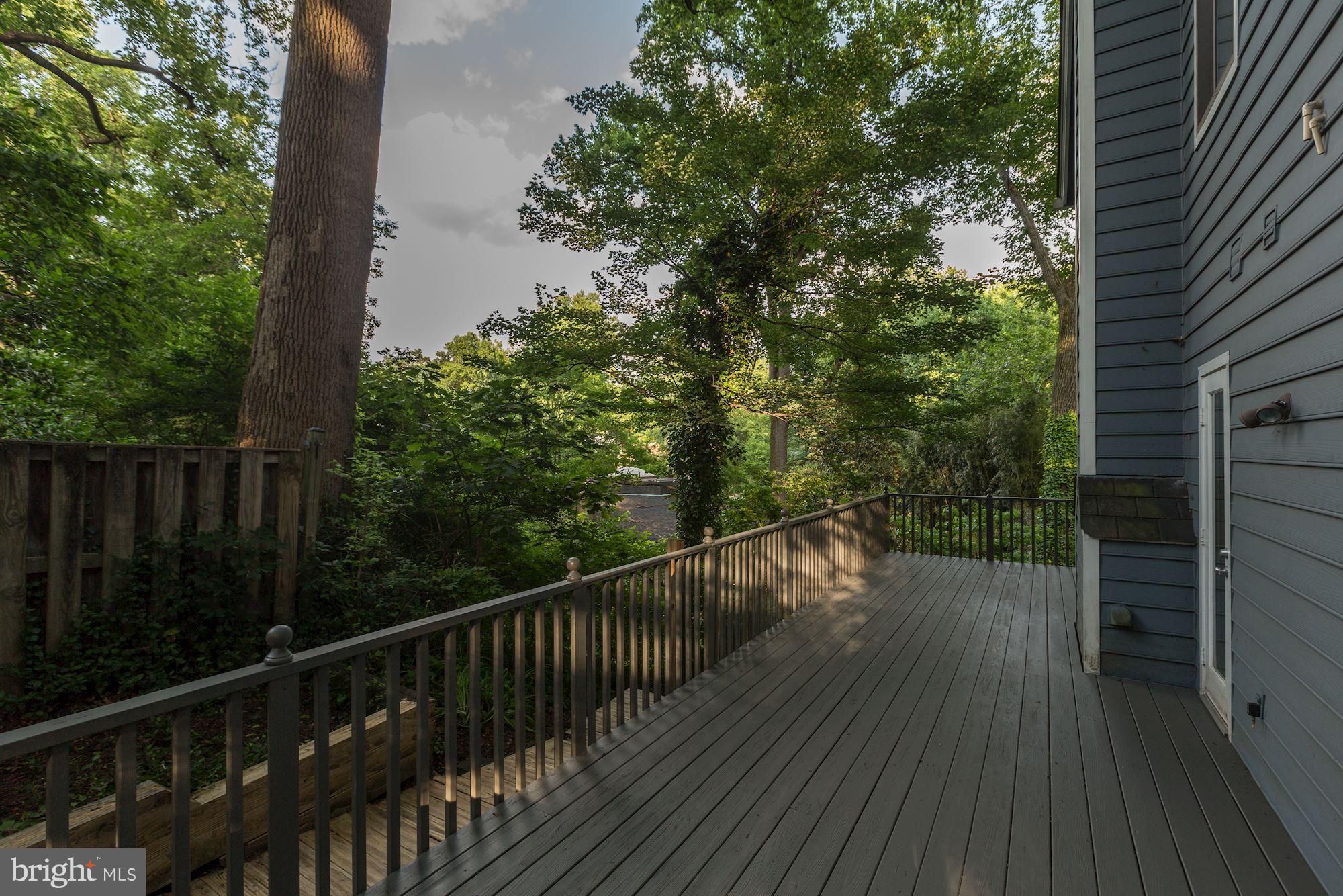 1207 Dale Drive Silver Spring, MD 20910 - Photo 20 of 22 Tree top Deck