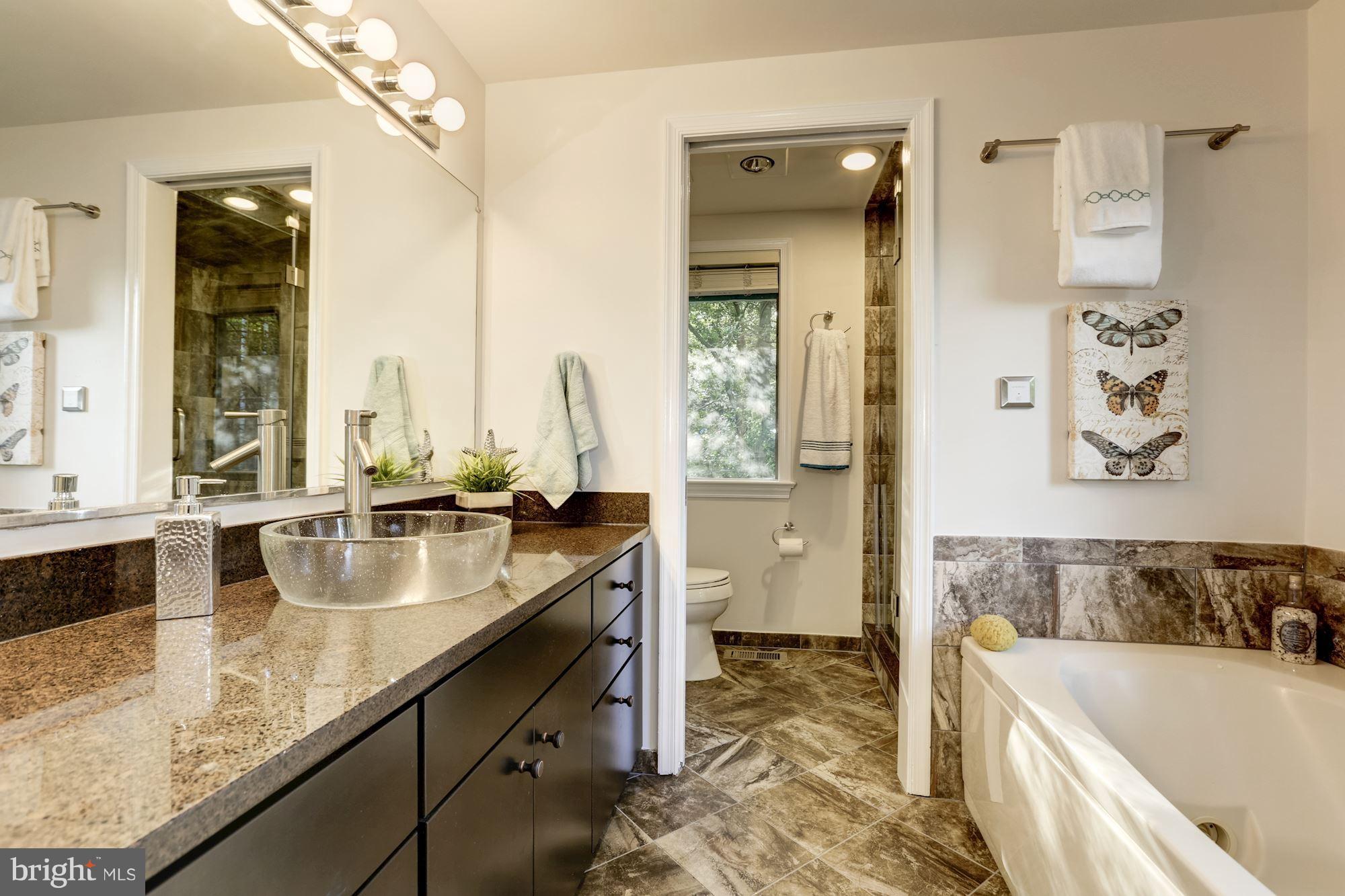 1207 Dale Drive Silver Spring, MD 20910 - Photo 10 of 22 Bath (Master)