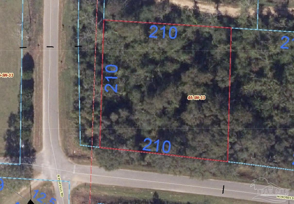 8300 Nokomis Road McDavid, FL 32568 - Photo 5 of 6 a view of street