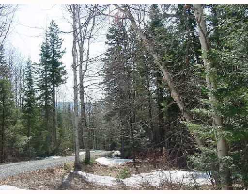 2 Wood Road Dallas Plt, ME 04970 - Photo 7 of 10 winter view