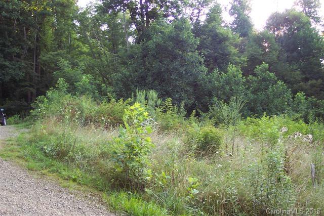 Lot R-7 Lot R-7 Cisco Cove Waynesville, NC 28785 - Photo 2 of 5 a view of a lush green forest