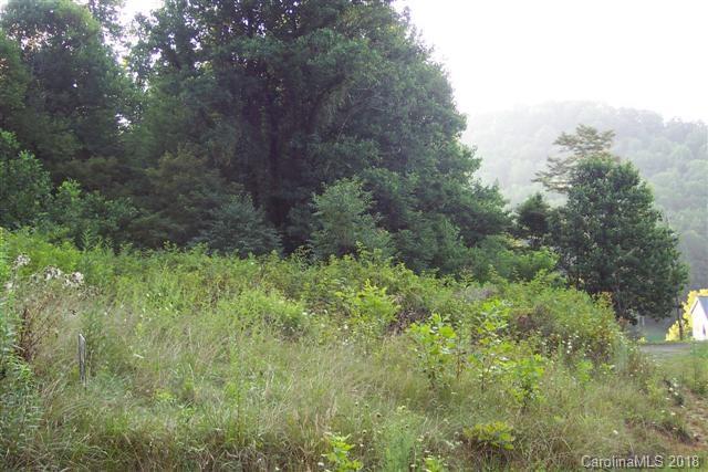 Lot R-7 Lot R-7 Cisco Cove Waynesville, NC 28785 - Photo 4 of 5 a view of a lush green forest