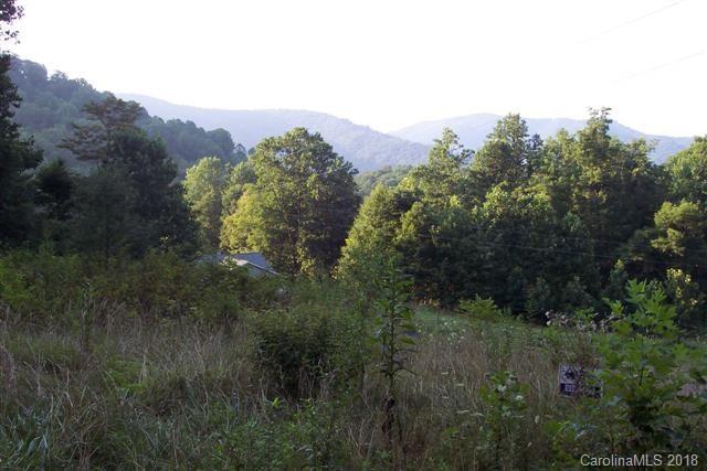Lot R-7 Lot R-7 Cisco Cove Waynesville, NC 28785 - Photo 5 of 5 a view of a lush green forest with trees in the background