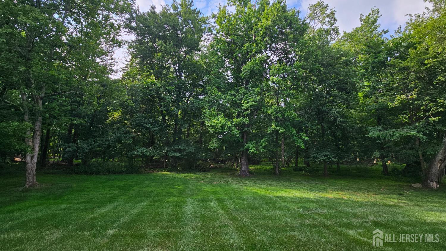 5 Tree Farm Road Monmouth Junction, NJ 08852 - Photo 32 of 32