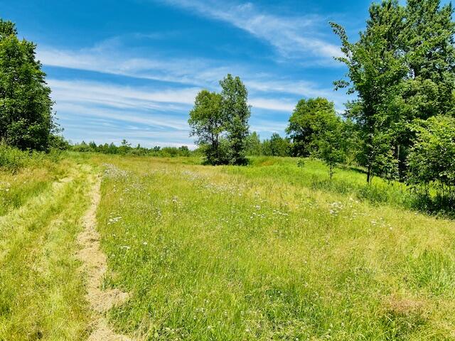 2146 West Pinconning Road Rhodes, MI 48652 - Photo 14 of 21 IMG_3207