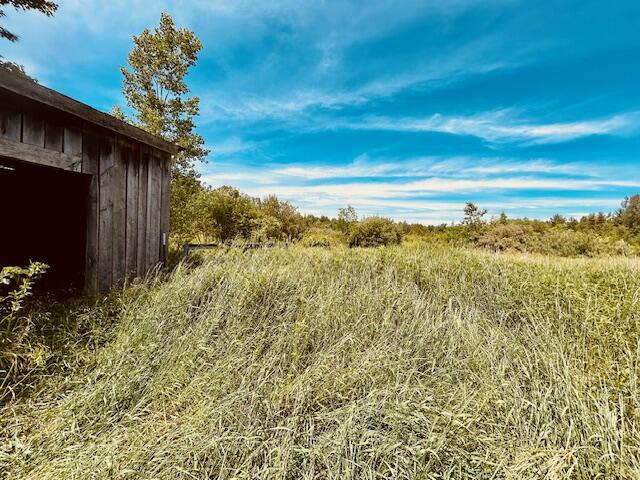 2146 West Pinconning Road Rhodes, MI 48652 - Photo 16 of 21 IMG_3200