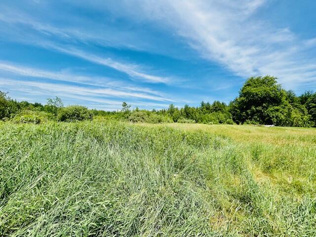 2146 West Pinconning Road Rhodes, MI 48652 - Photo 19 of 21 IMG_3199