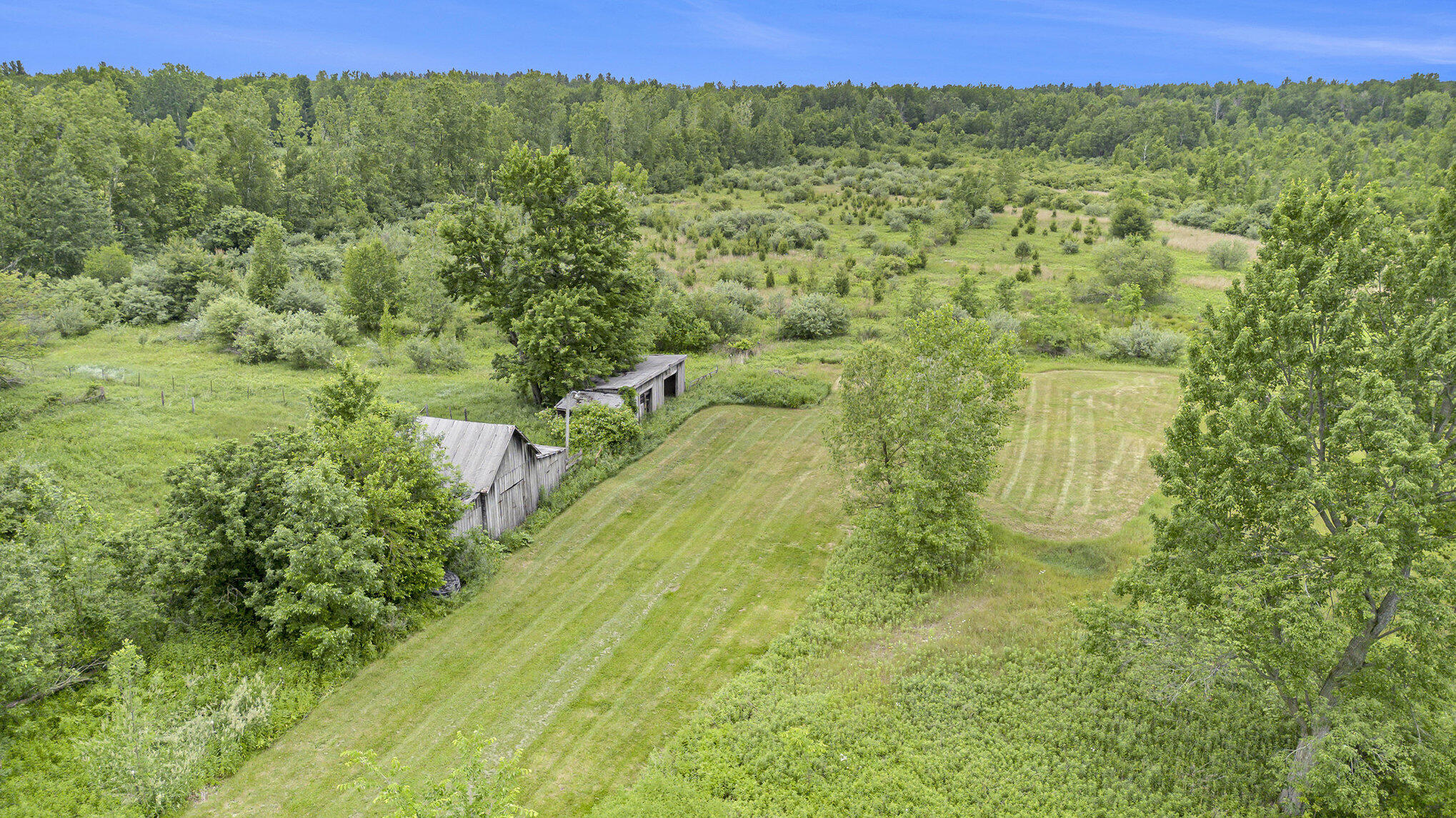 2146 West Pinconning Road Rhodes, MI 48652 - Photo 7 of 21 dji_0296_993