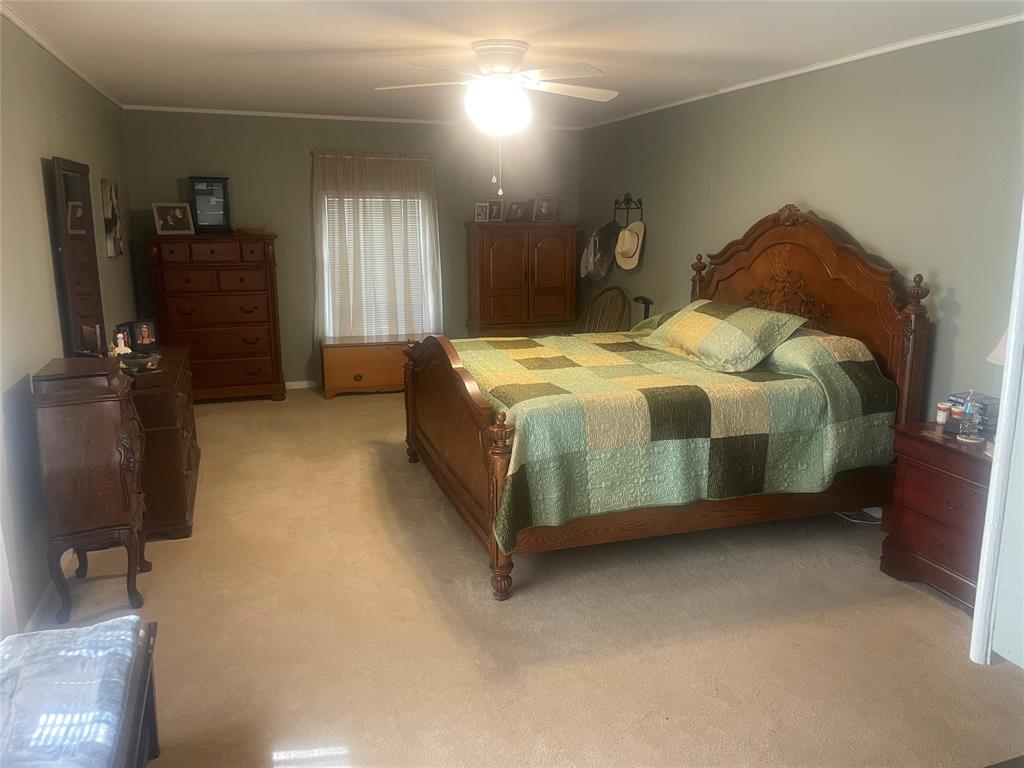 12301 Highway 36 Comanche, TX 76442 - Photo 15 of 28 Bedroom featuring ceiling fan, light colored carpet, and ornamental molding
