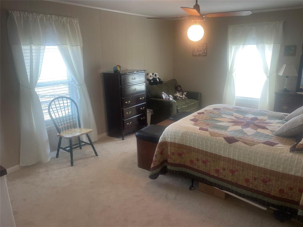 12301 Highway 36 Comanche, TX 76442 - Photo 20 of 28 Bedroom featuring light carpet, baseboards, a ceiling fan, and ornamental molding