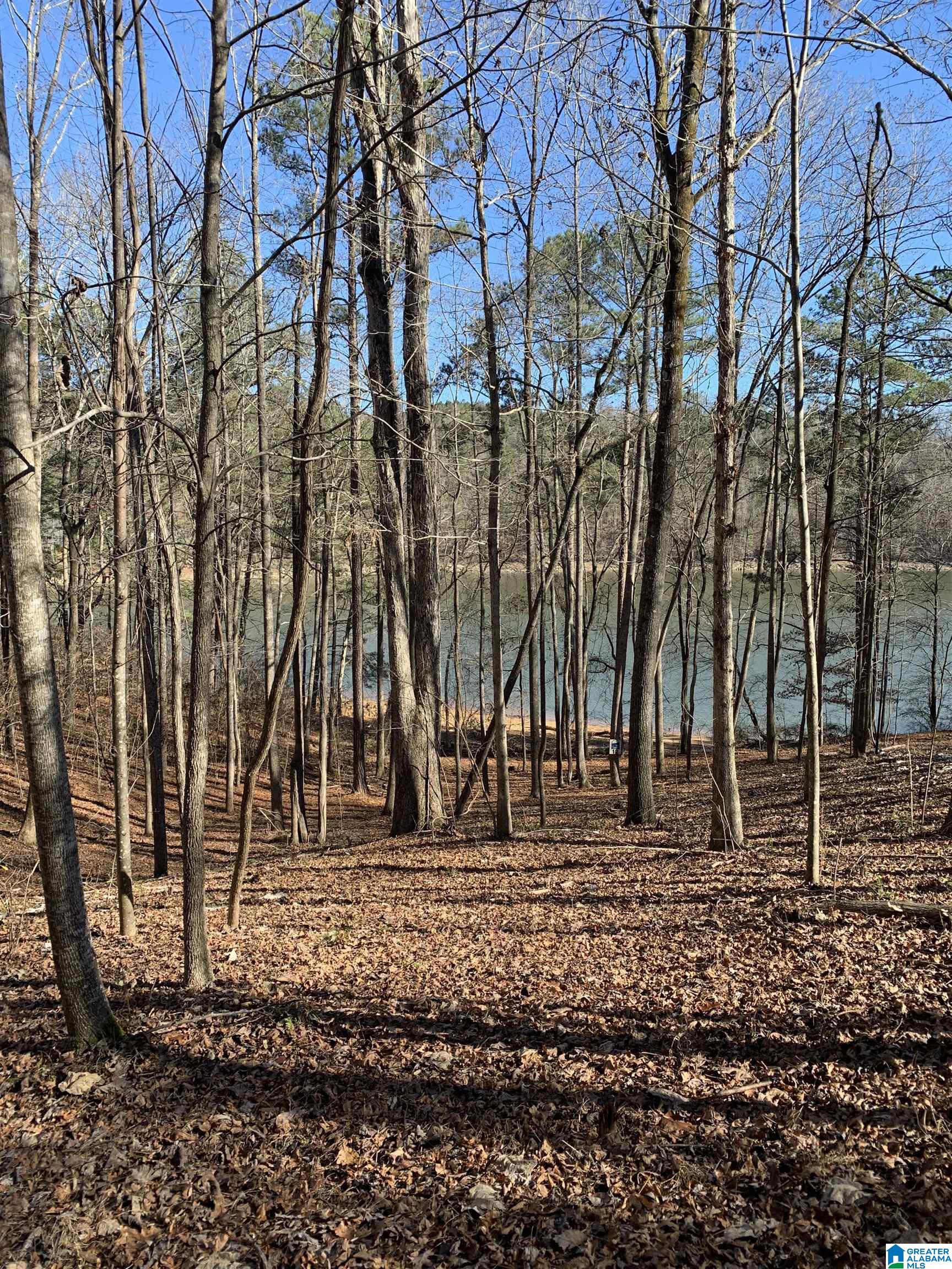 Crooked Creek, Unit 12 Addison, AL 35540 - Photo 4 of 5