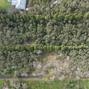 19-3932-a Old Volcano Road Volcano, HI 96785 - Photo 13 of 17 Gallery Image 13