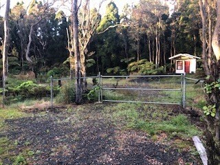 19-3932-a Old Volcano Road Volcano, HI 96785 - Photo 2 of 17 Gallery Image 2