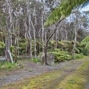 19-3932-a Old Volcano Road Volcano, HI 96785 - Photo 4 of 17 Gallery Image 4
