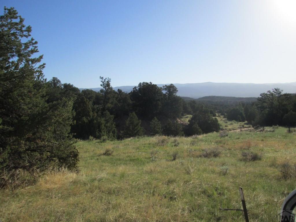 Lot #2 Milligan Ranch Gardner, CO 81040 - Photo 34 of 35 Gallery Image 34