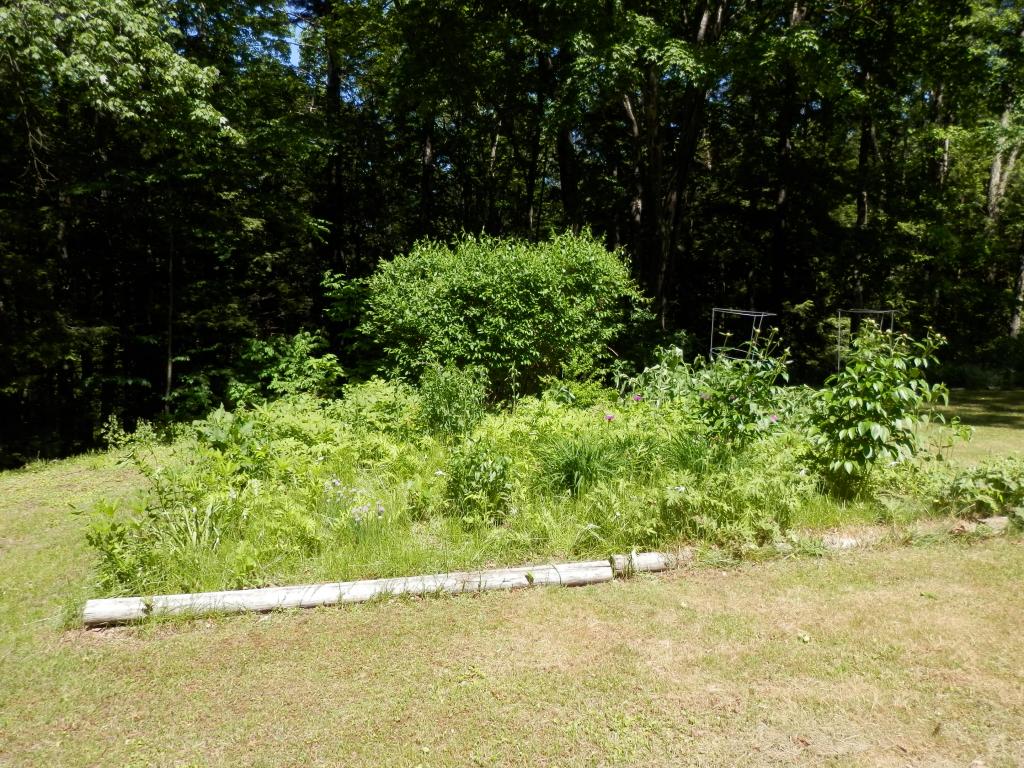 117 Deerhaven Road Weare, NH 03281 - Photo 9 of 25