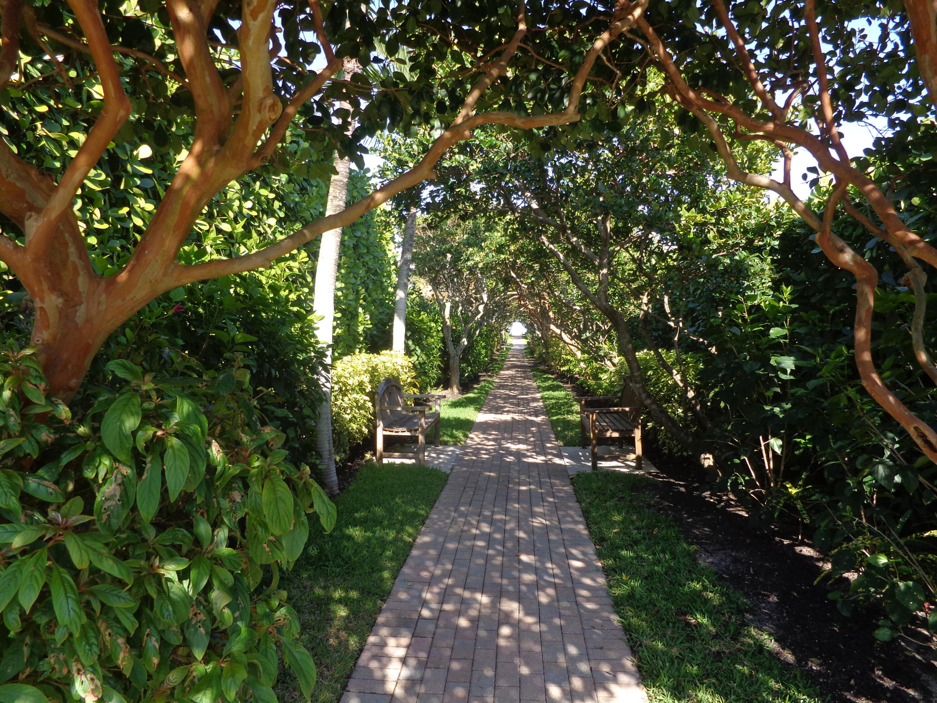 234 Shelter Lane Jupiter Inlet Colony, FL 33469 - Photo 35 of 40 DSC02835